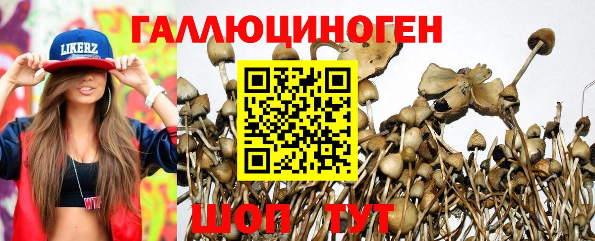 Галлюциногенные грибы Magic Shrooms  Вход с VPN  наркота  Губаха 