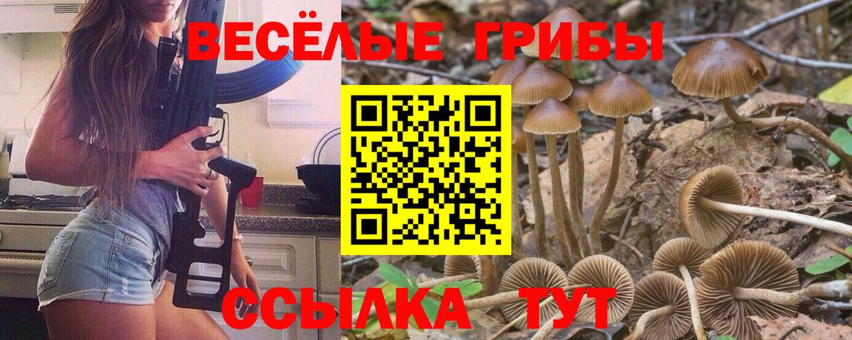Псилоцибиновые грибы MAGIC MUSHROOMS Губаха